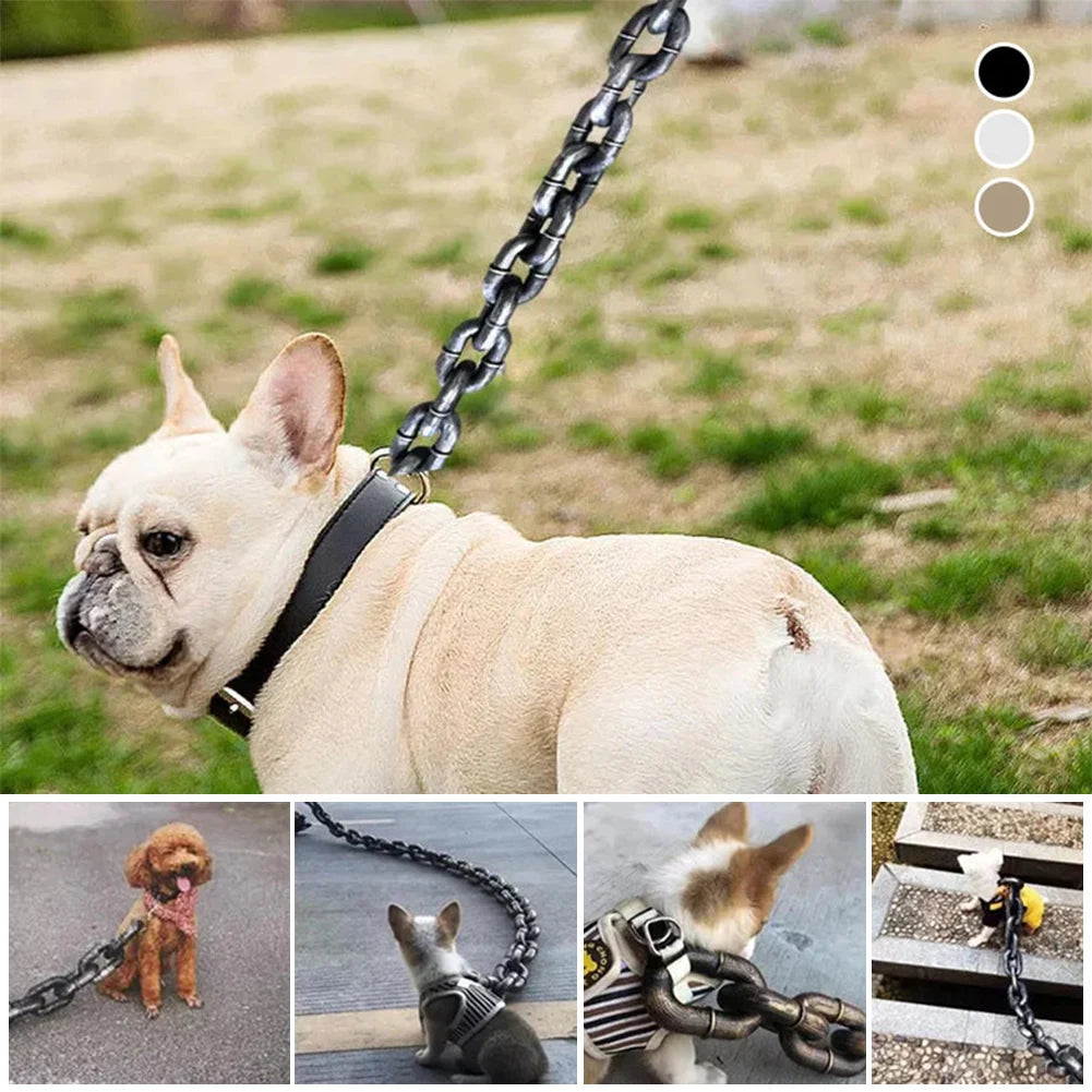 Dog Leash