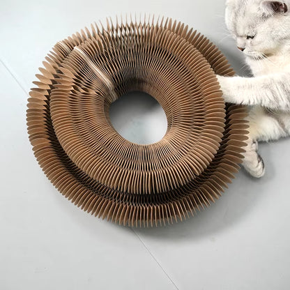 Magic Organ Cat Toy Cat Scratcher